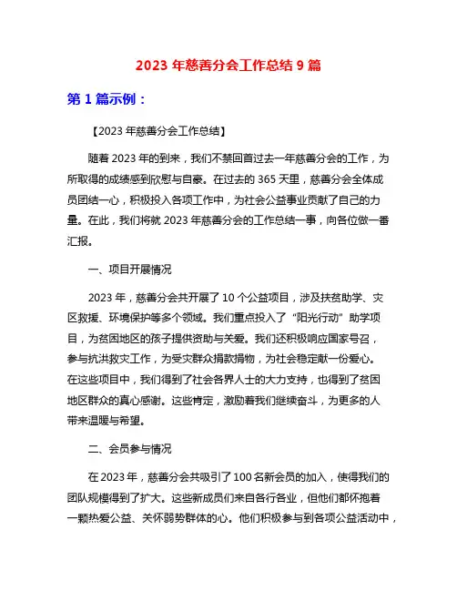 2023年慈善分会工作总结9篇