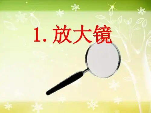放大镜微小世界 优秀ppt课件3