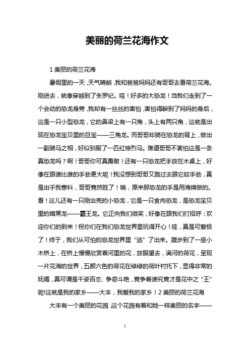 美丽的荷兰花海作文