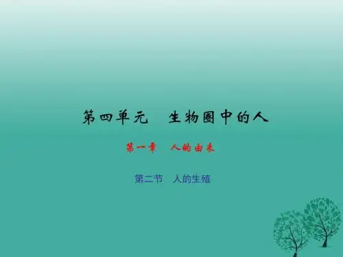 原七年级生物下册第四单元第一章第二节人的生殖课件(