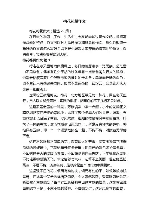 梅花礼赞作文（精选29篇）