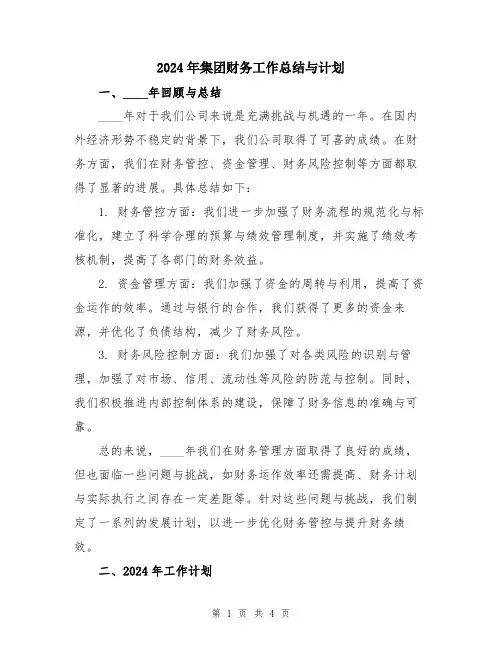 2024年集团财务工作总结与计划