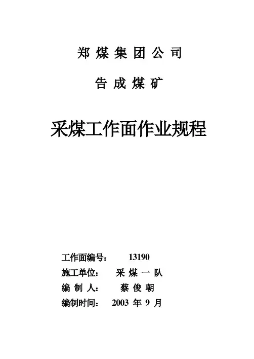 13190作业规程