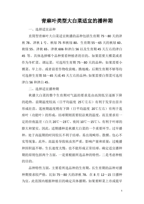 青麻叶类型大白菜适宜的播种期