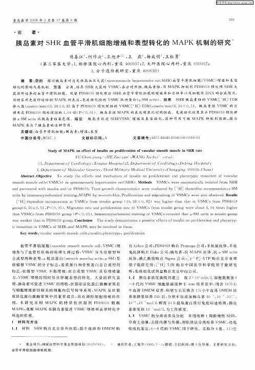 胰岛素对SHR血管平滑肌细胞增殖和表型转化的MAPK机制的研究