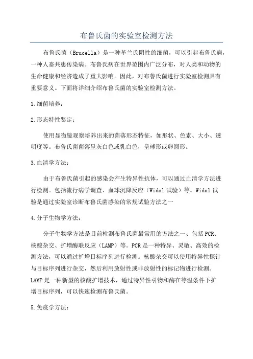 布鲁氏菌的实验室检测方法