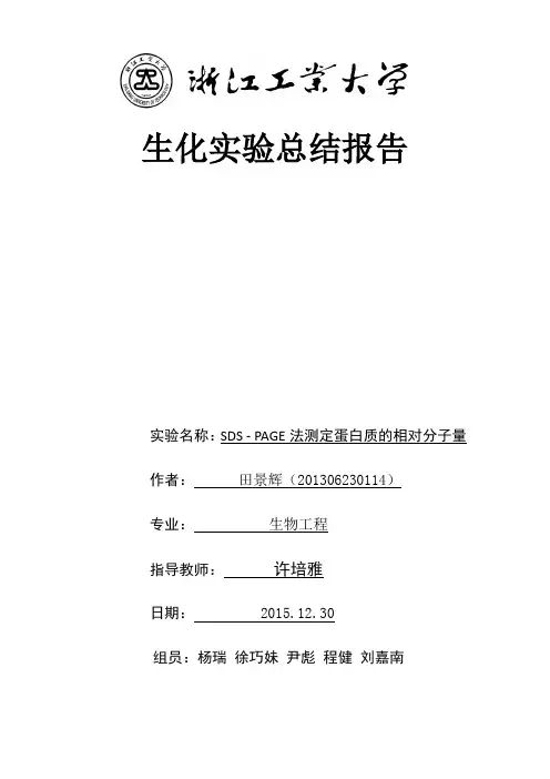 SDS-PAGE实验报告