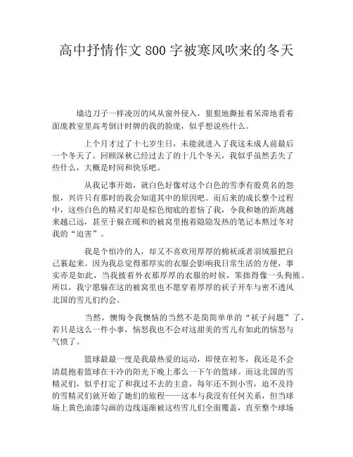 高中抒情作文800字被寒风吹来的冬天