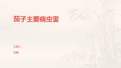 茄子主要病虫害