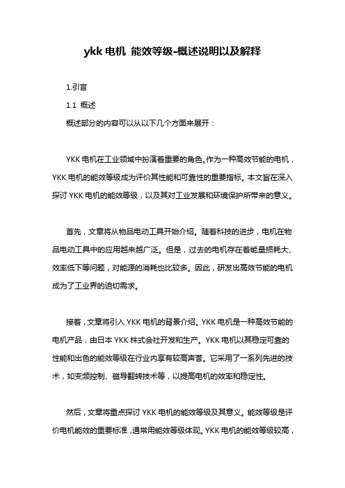 ykk电机 能效等级-概述说明以及解释