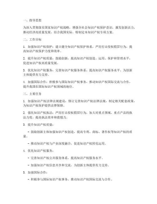 知识产权专项方案
