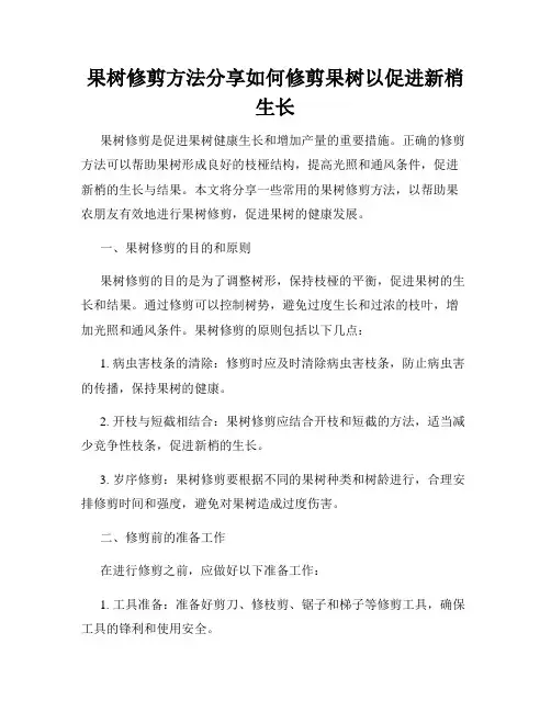 果树修剪方法分享如何修剪果树以促进新梢生长