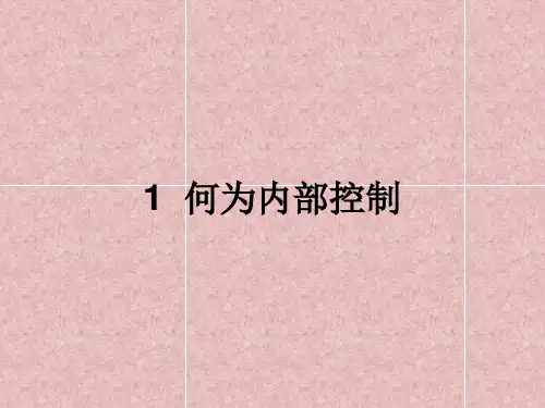内控理论基础.ppt