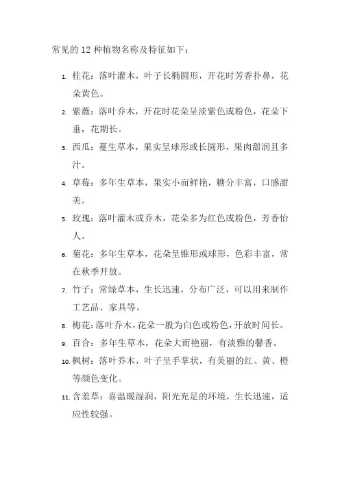 常见12种植物名称及特征
