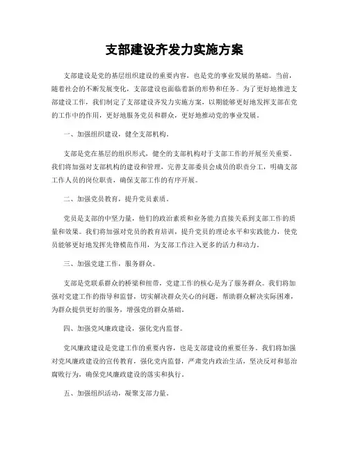 支部建设齐发力实施方案