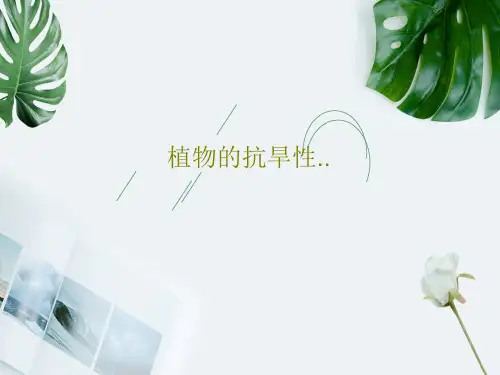 植物的抗旱性..35页PPT
