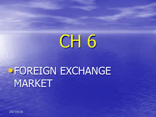 国际金融第6章the foreign exchange market课件