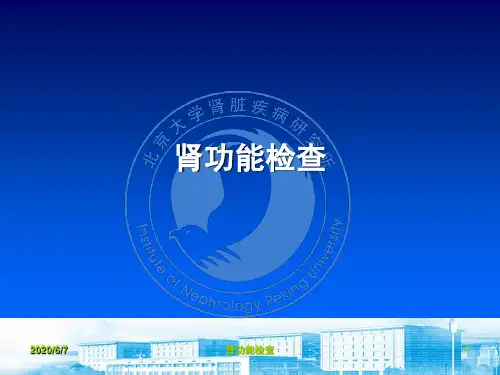 肾功能检查