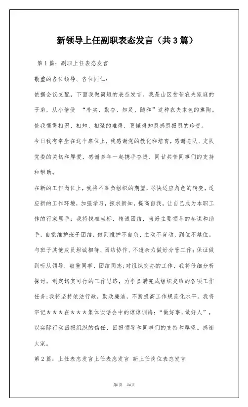 新领导上任副职表态发言(共3篇)
