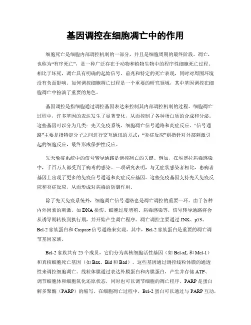 基因调控在细胞凋亡中的作用