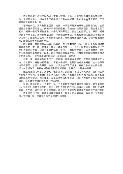 我对昆虫的观察