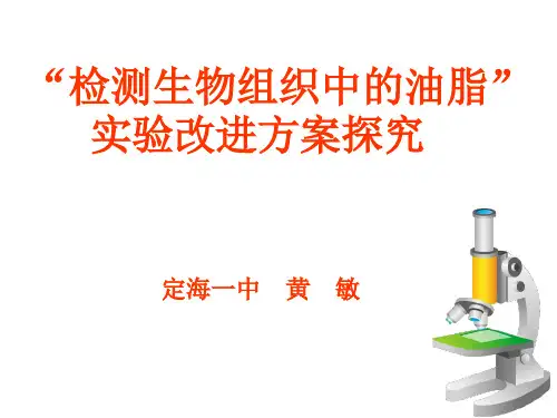 检测生物组织中的油脂改进方案探究