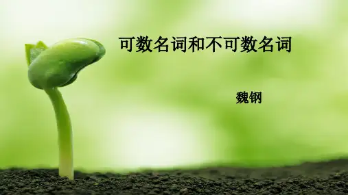 可数名词和不可数名词