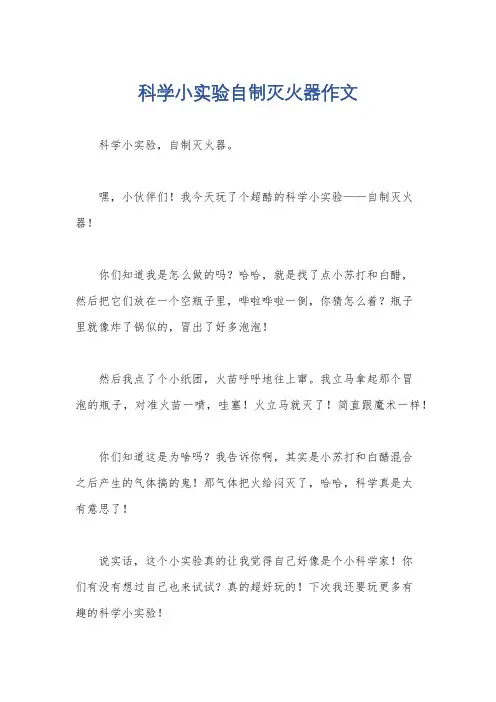 科学小实验自制灭火器作文