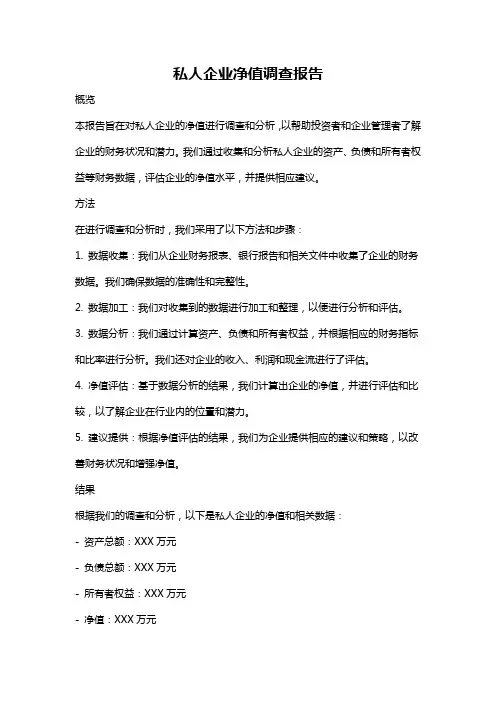 私人企业净值调查报告