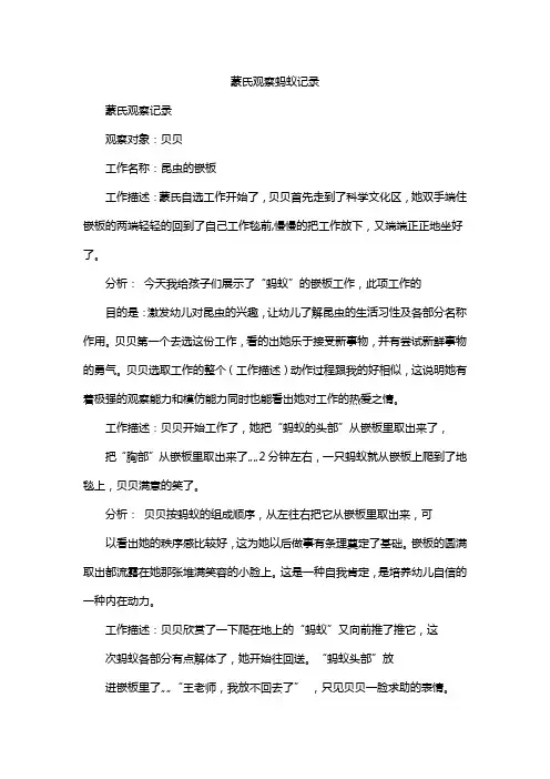 蒙氏工作观察记录蚂蚁嵌板