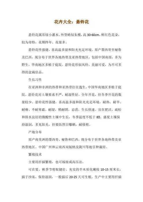 花卉大全：悬铃花