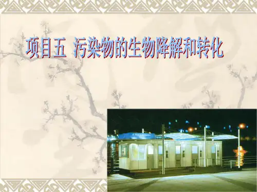 生物降解