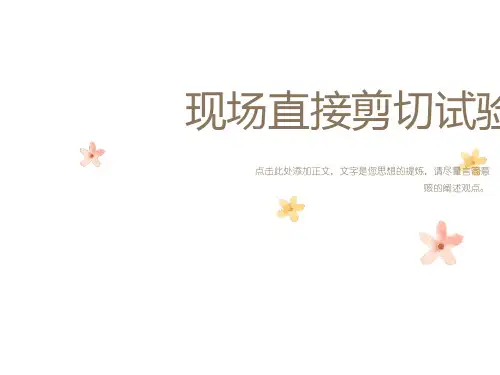 现场直接剪切试验