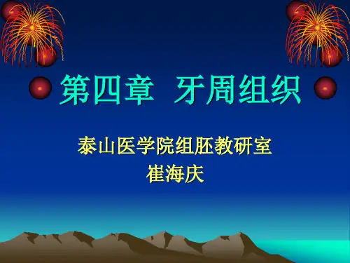 第4章牙周组织