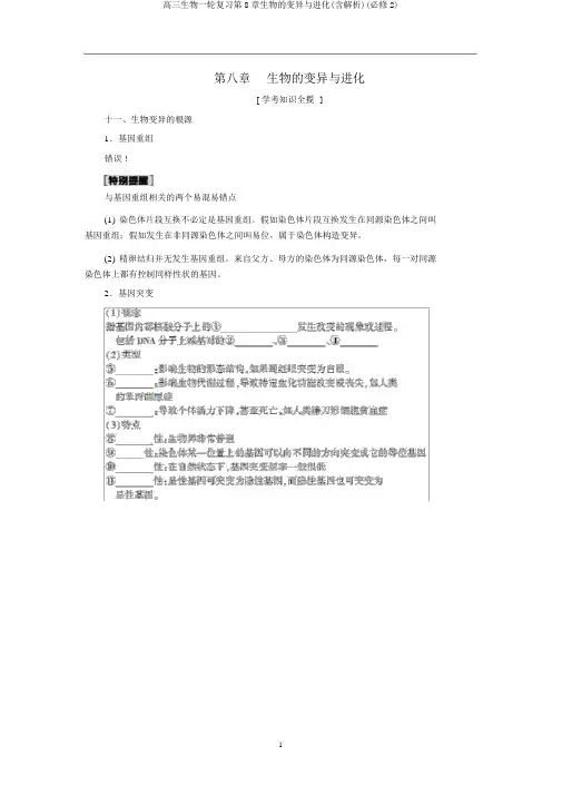高三生物一轮复习第8章生物的变异与进化(含解析)(必修2)