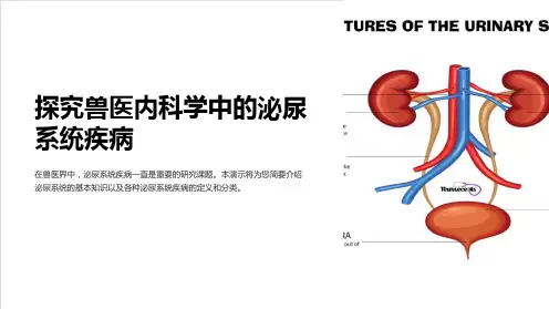 兽医内科学第六章泌尿系统疾病(2015年最新)
