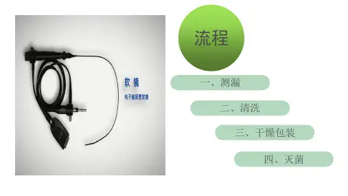PPT医学课件输尿管软镜的标准化处理流程讲义