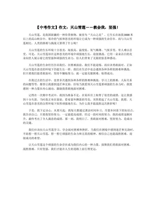 【中考作文】作文：天山雪莲――教会我,坚强!