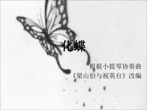 《化蝶》课件3
