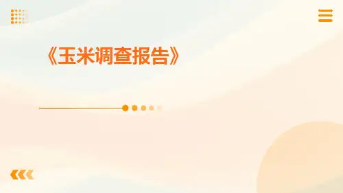 玉米调查报告