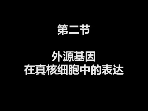 第六章 克隆基因的表达(2)