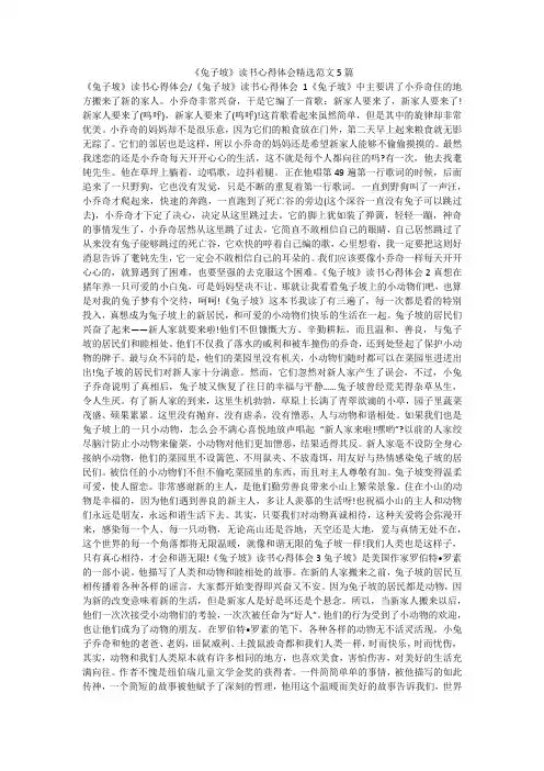 《兔子坡》读书心得体会精选范文5篇