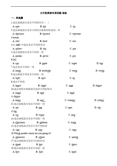 [小升初英语]小升初英语专项训练 音标 通用版(含答案解析)