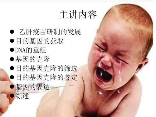 基因工程法生产乙肝疫苗知识讲解