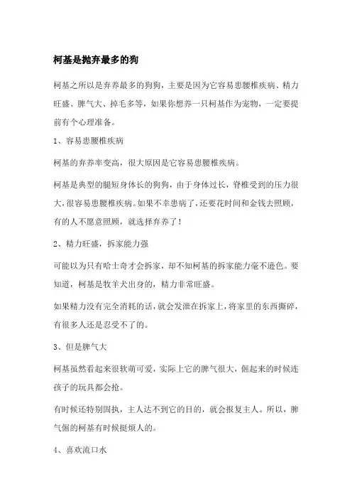 柯基是抛弃最多的狗
