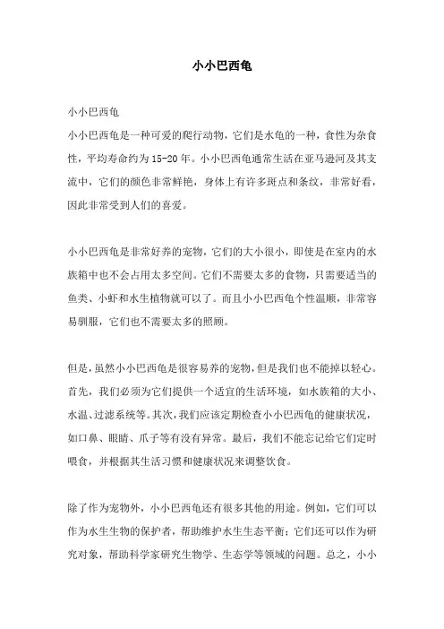小小巴西龟