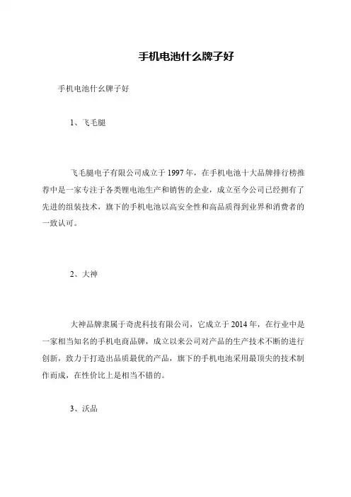 手机电池什么牌子好
