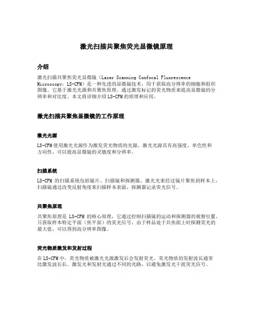 激光扫描共聚焦荧光显微镜原理
