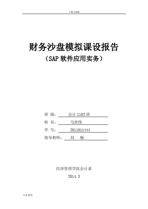 SAP课程设计报告