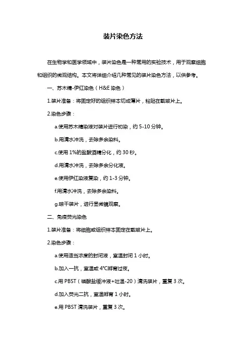 装片染色方法